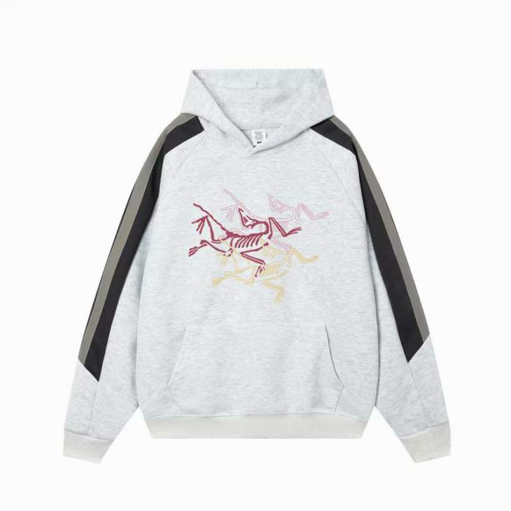 Picture of Arcteryx Hoodies _SKUArcteryxM-4XL11Lr23624